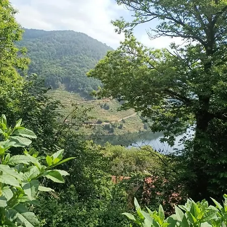 ヴィラ Casa Yanez チャンターダ