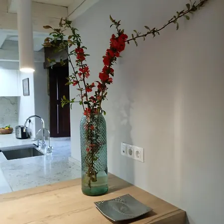 Casa Yanez Willa *