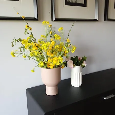 Casa Yanez ヴィラ *