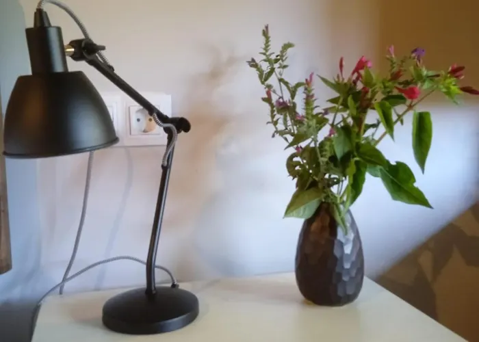 Casa Yanez Villa Chantada